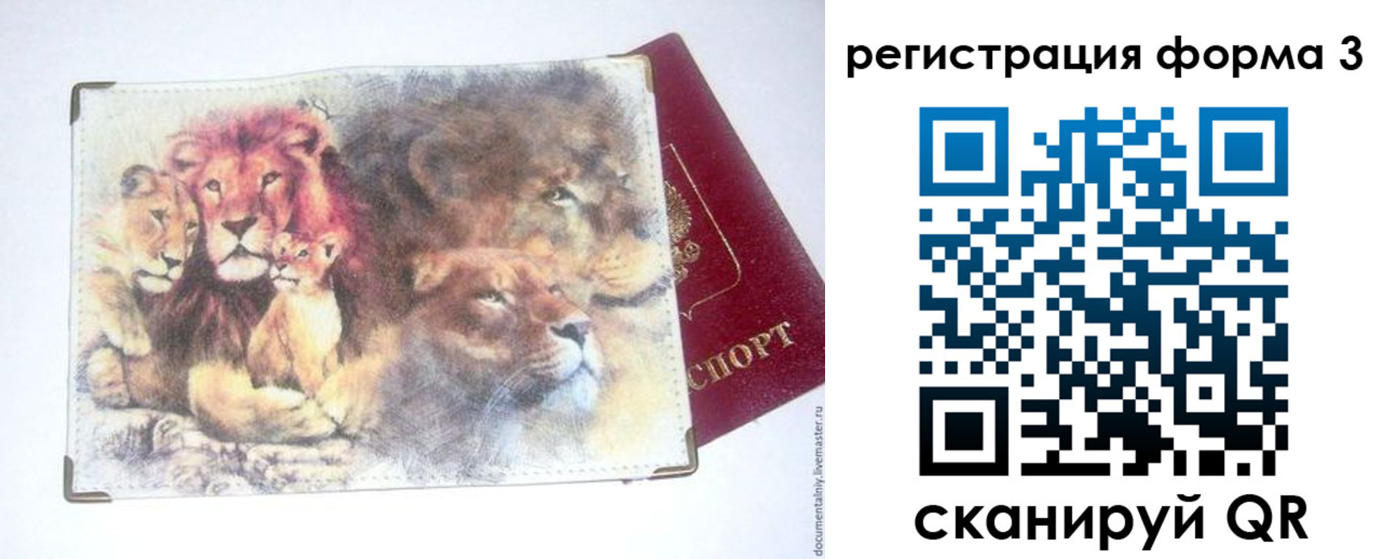 прописка в квартире в Тимашёвске